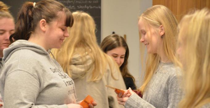 Mindretal og deres betydning. Elevambassadører Mindretal og deres betydning. Elevambassadører